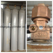 Empty Activated Cylinder with Electromagnetic Valve 10L